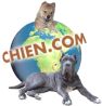 banniere_chien.jpg (3265 octets)