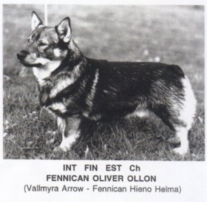 fennican_oliver_ollon.JPG (27436 octets)