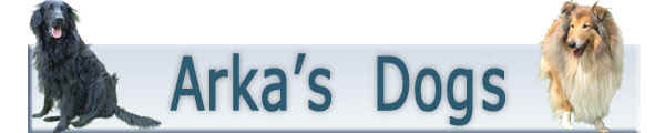 logo arkasdogs.jpg (25775 octets)