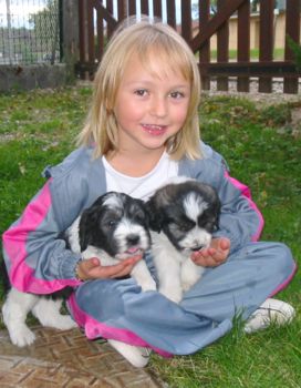 lucie et 2 chiot.jpg (23844 octets)
