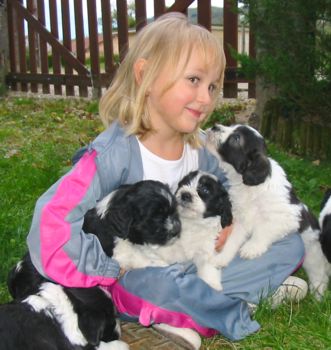 lucie et 3 chiots.jpg (27079 octets)