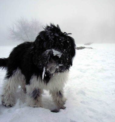 atika neige.jpg (29190 octets)