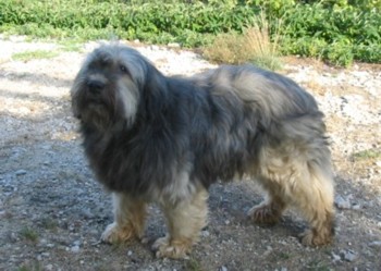 mowa aot 2006a.jpg (32800 octets)