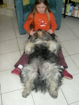 tylko couch.jpg (25040 octets)