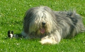 uchka1_2005.jpg (22304 octets)