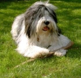 uszko avril 2005.jpg (24978 octets)